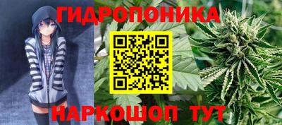 ешки Вышний Волочёк