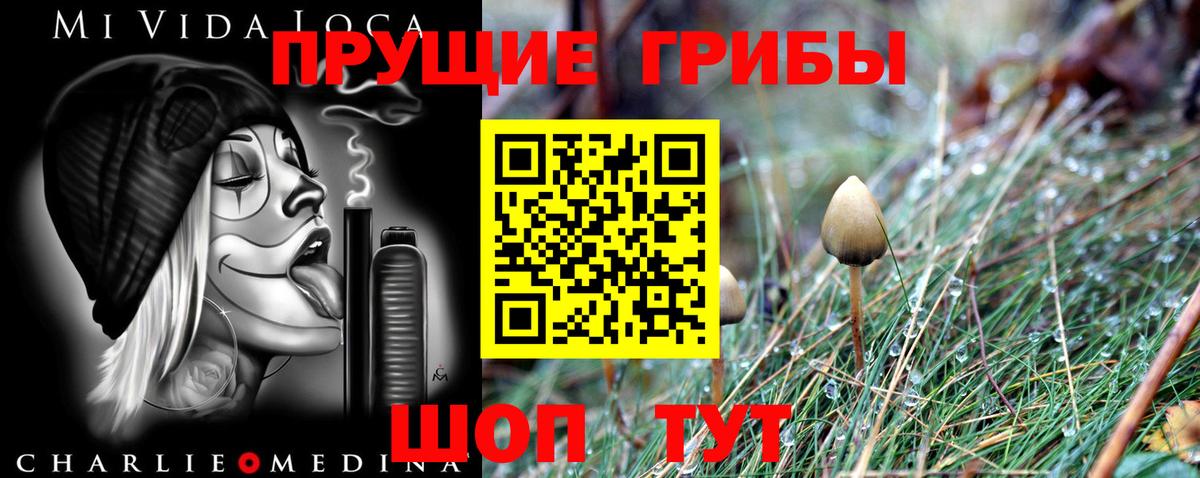 Псилоцибиновые грибы GOLDEN TEACHER  Вход с VPN  Галлюциногенные грибы Magic Shrooms  Калининград 
